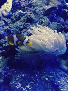 �j������