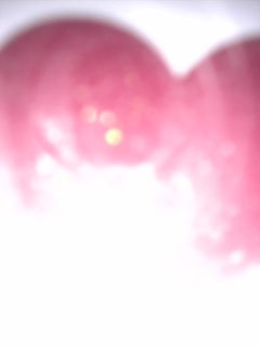 ���[�Ȃ��݁c