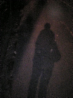 ���ނӂ��Ԃ��悵��